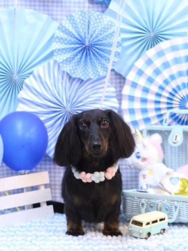 20231111小太郎くん